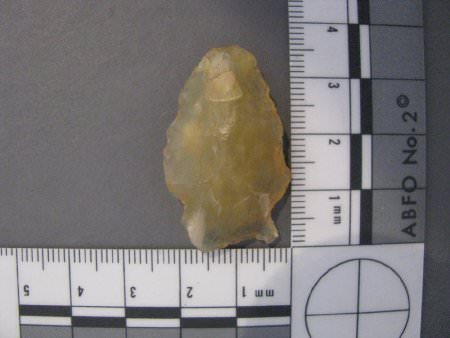 projectile point with scale