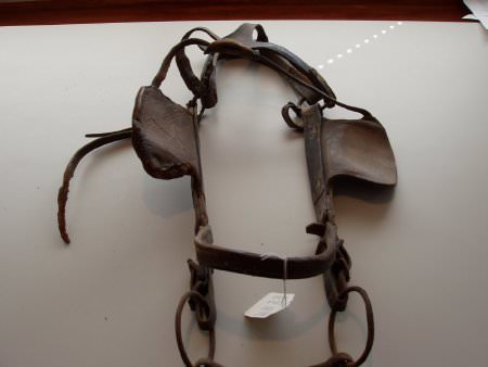 Halter