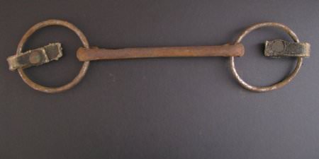 Bit, Bridle