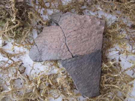 Cord marked sherd
