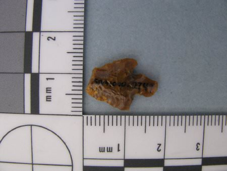 Projectile Point ID