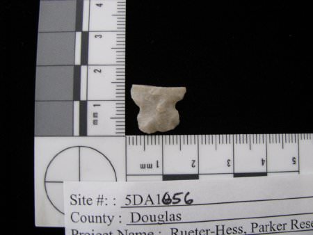 Projectile Point
