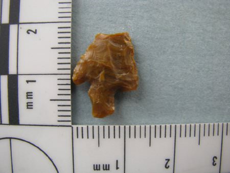 Projectile Point