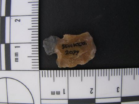 Projectile Point ID