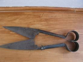 Shears, Sheep