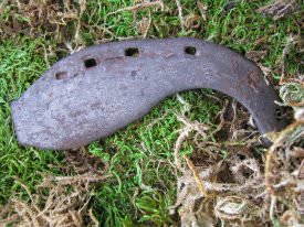 Shoe, Animal