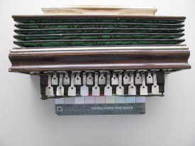 Concertina w/scale
